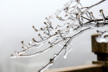 黄山景区现大面积雾凇奇观 本周将迎降雪