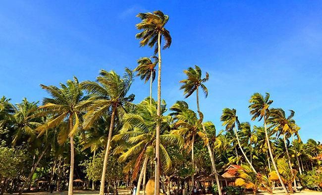 海口租车自驾哪家好，专治不会玩，手把手教你自驾路线！