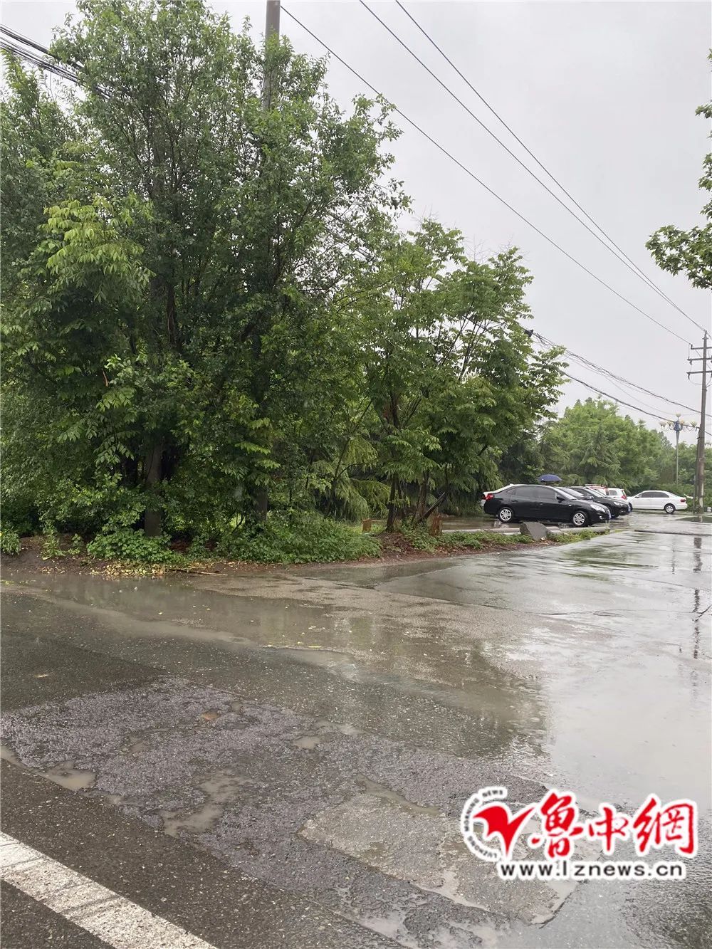  #淄博市气象#最低11℃！中雨、大雨过后的淄博，降雨持续到...