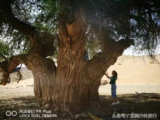 不看不知道，巴丹吉林沙漠中竟隐藏着一个天池！太美了~