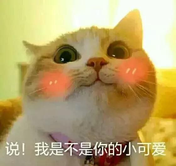  「存储不当」不懂这个生活窍门, 买再多食物都白搭!