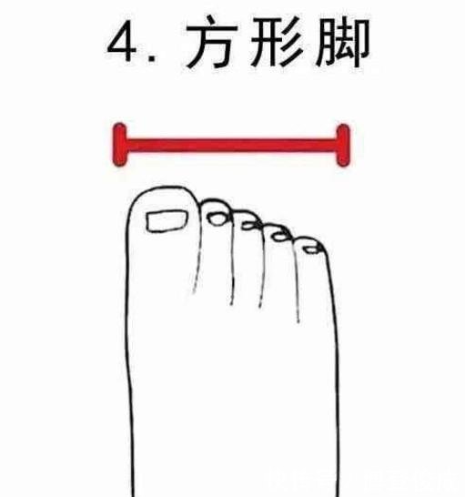  罗马脚：4种最美脚型排行榜，埃及脚堪称“女神”脚！每个女生都想拥有