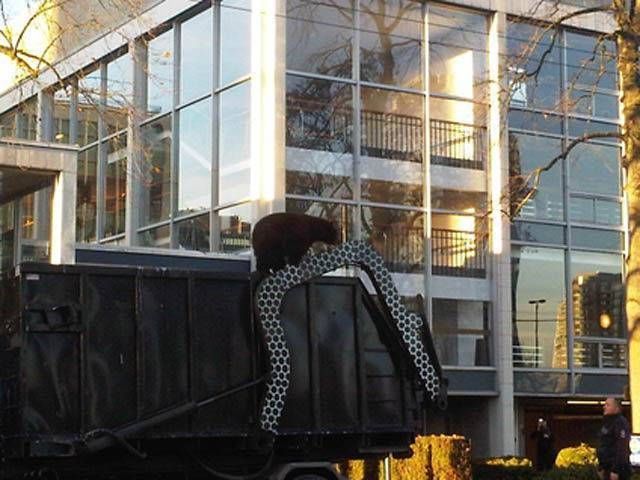 『报警』司机发现车顶异样,往上面一瞅报警求助带家伙,警察来后直接开枪