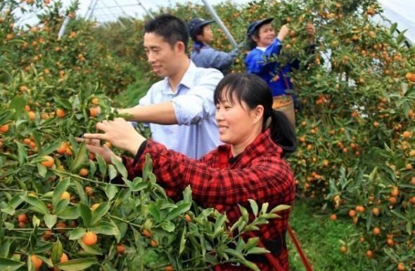 农村新怪象：越来越多城里人来到农村，这4个原因令人向往，是啥