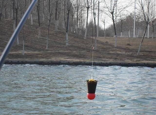 『情况』不打窝渔获好,打窝后反而没渔获,到底是什么情况