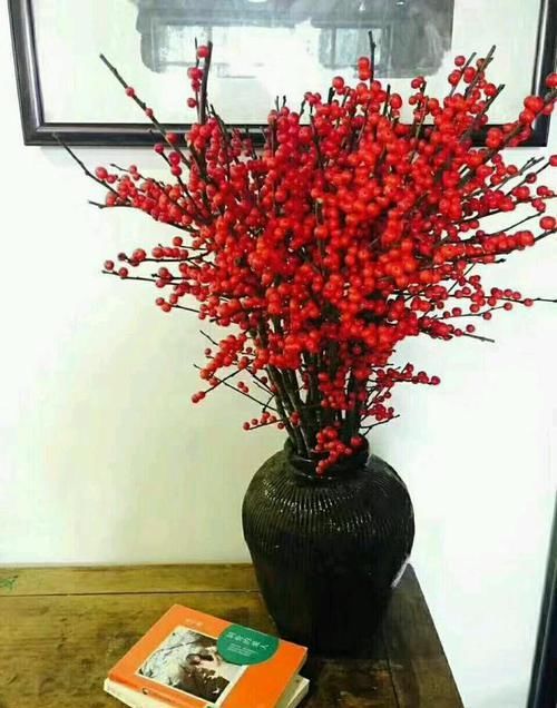  鸿运当头：10种花，家里至少摆1盆，寓意吉祥，还特有面儿！