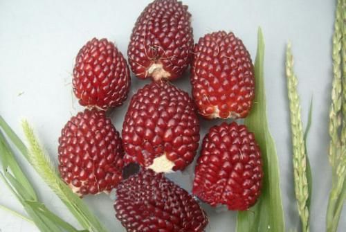  草莓玉米：女性常吃此物，皱纹少了，皮肤细腻，大肚子平了，人也更健康美丽