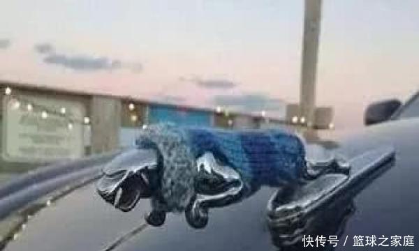  『车标』说到玩车标，这些车主可都是高手，捷豹好舒服，奥迪被“黑”了！