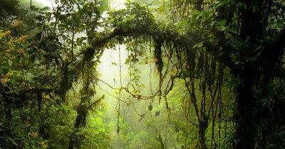  #多少钱#个人交纳居民养老保险15年以后按照最高标准来交费，能