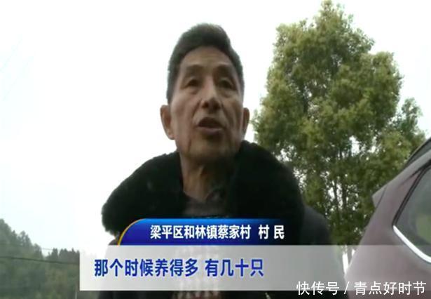 退休教师在学校养鸡，村民不满，他振振有词：学校就是我家