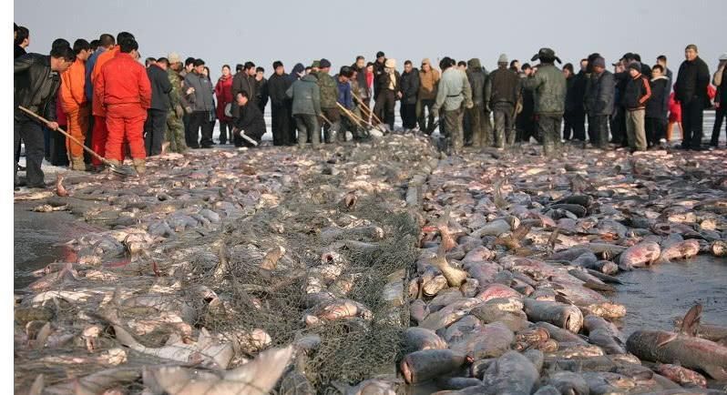 查干湖冬捕火了，鱼多到堆成小山，网友:游客又不是傻子!