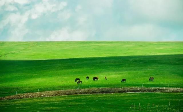这几个地方景色太美还免费，网友大呼：辞职也要去看看