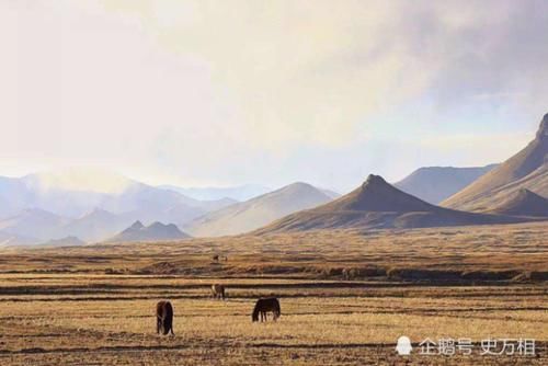 去西藏无人区旅游，晚上最好别睡在车里？看完涨知识了！