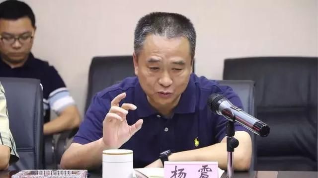 “四川虎”蒲波的下属主动投案
