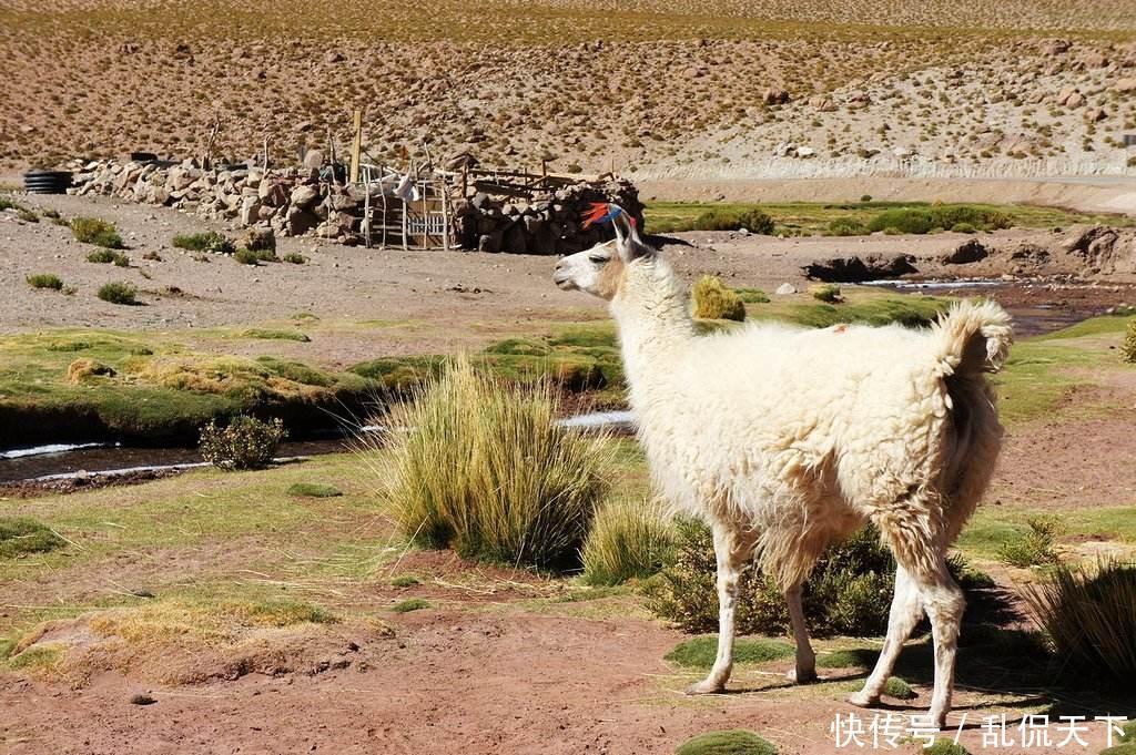  世界|全球最干燥的地区：百年来从未下过雨，却养活了100多万人！