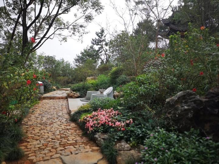 浙派苏派盆景首次亮相西湖边郭庄