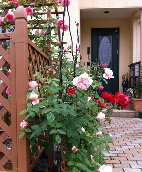  【美滋滋】不羡慕城里大露台，老家盖个房，还带个大院子，生活