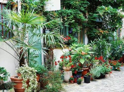 巴黎胡同里的花花世界