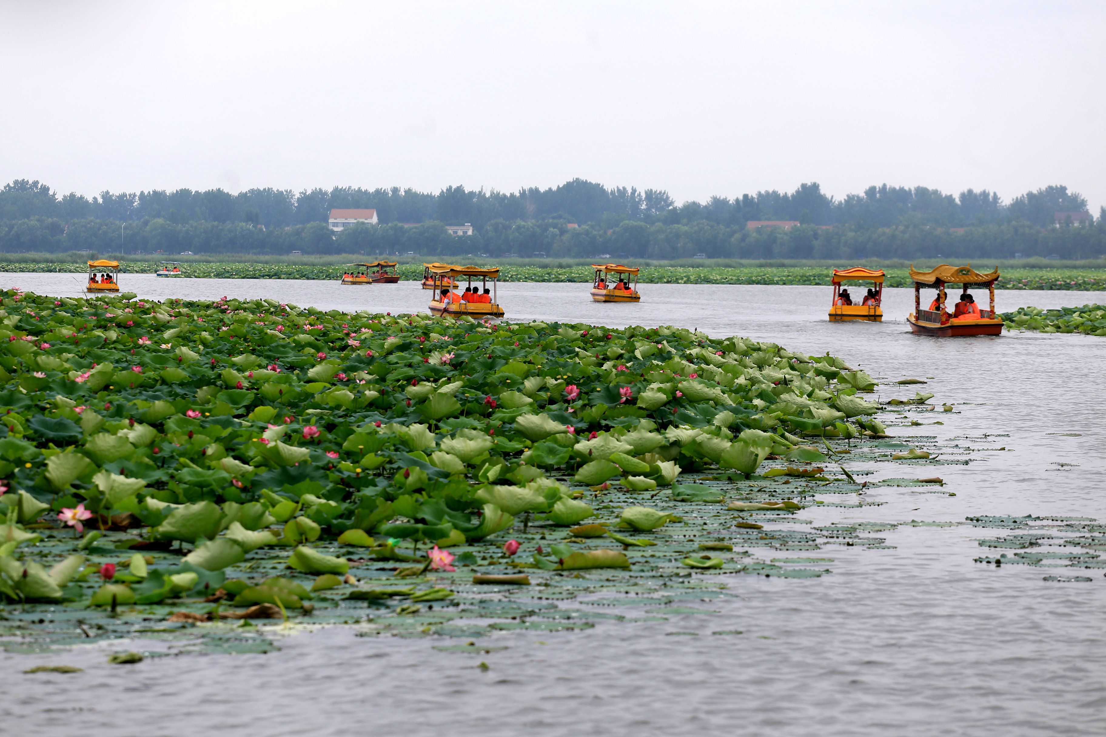 河南7个小县城上榜“中国最美县域榜单”，来看看有你的家乡没?