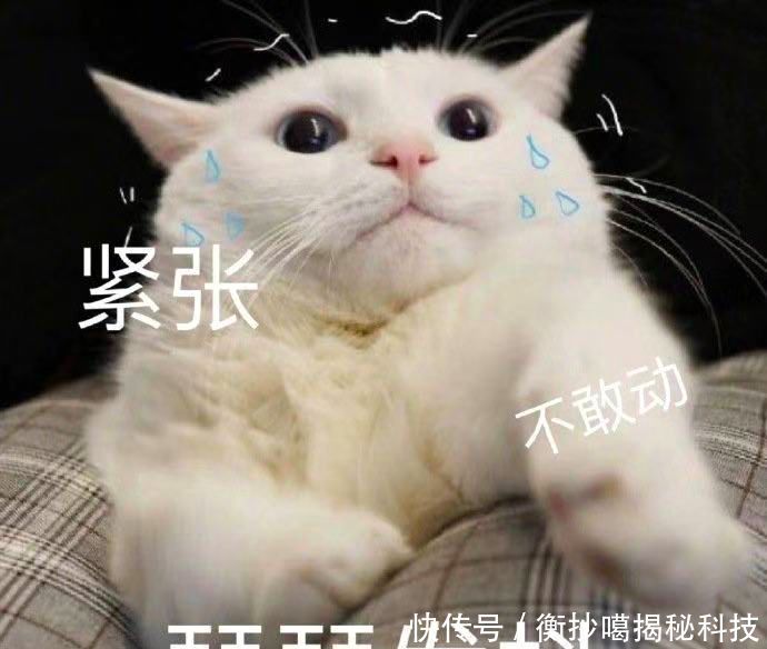 王诗龄是什么人