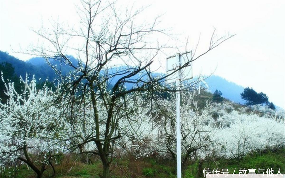 贵州又一条高铁开工, 沿途经过5座旅游城市, 看看有您的家乡吗