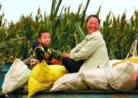  农村：10年之后，农村的什么会最有价值？不是车子房子，而是这