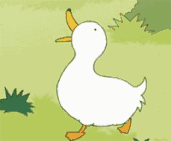 “我太难了！”今天没有一只鸭子能活着走出藤县、走出广西！