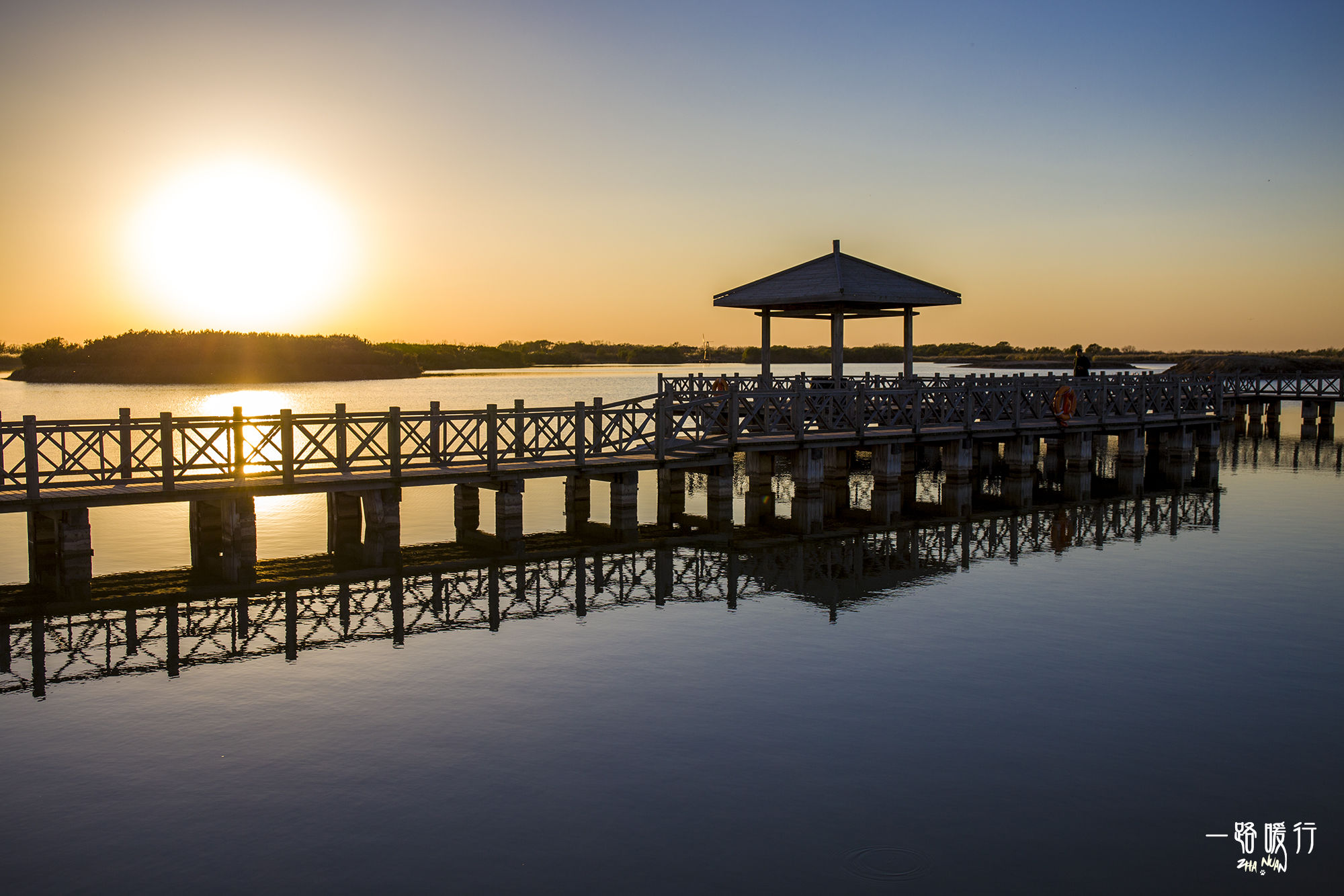 东营丨走过沧海桑田，终是在芦花飞雪的秋日遇见你