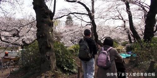 终于知道为什么都喜欢去日本, 中国游客去日本, 拍到这样画面