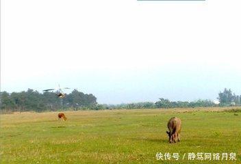 国内最“惨”的机场, 遍地荒凉, 当地人嫌弃 连种菜都嫌远