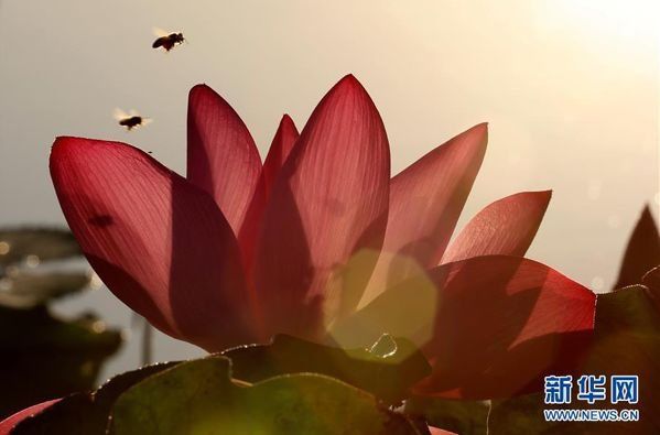 你要的假期都拿走!