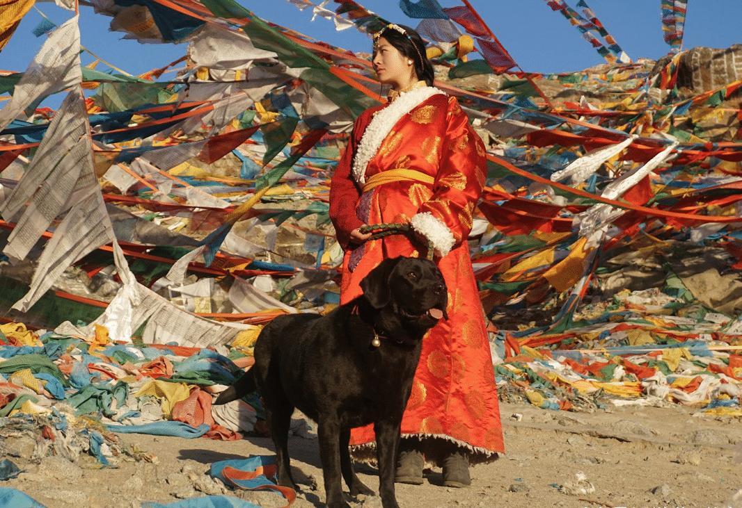 中国至理名言: 男不入川、女不入藏、老不入广, 看完才懂古人智慧