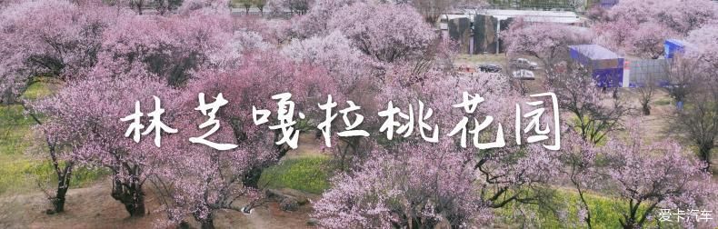  [遗憾终于弥补回来]五朵金花的318川藏线之行。。。。。。
