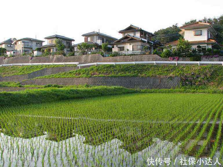  「转入」事业单位人员转入社保以后，工资待遇有什么变化？