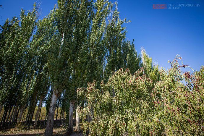 厉害了中国人!用33年时间，在新疆创造了人类历史的又一大奇迹