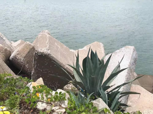 最新！台湾离岛自由行重启！这20城市可以走起了