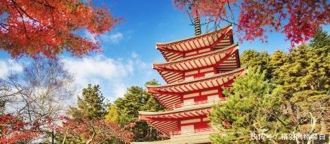 为什么日本人一眼就能认出中国游客，原因让人无言以对，实在佩服