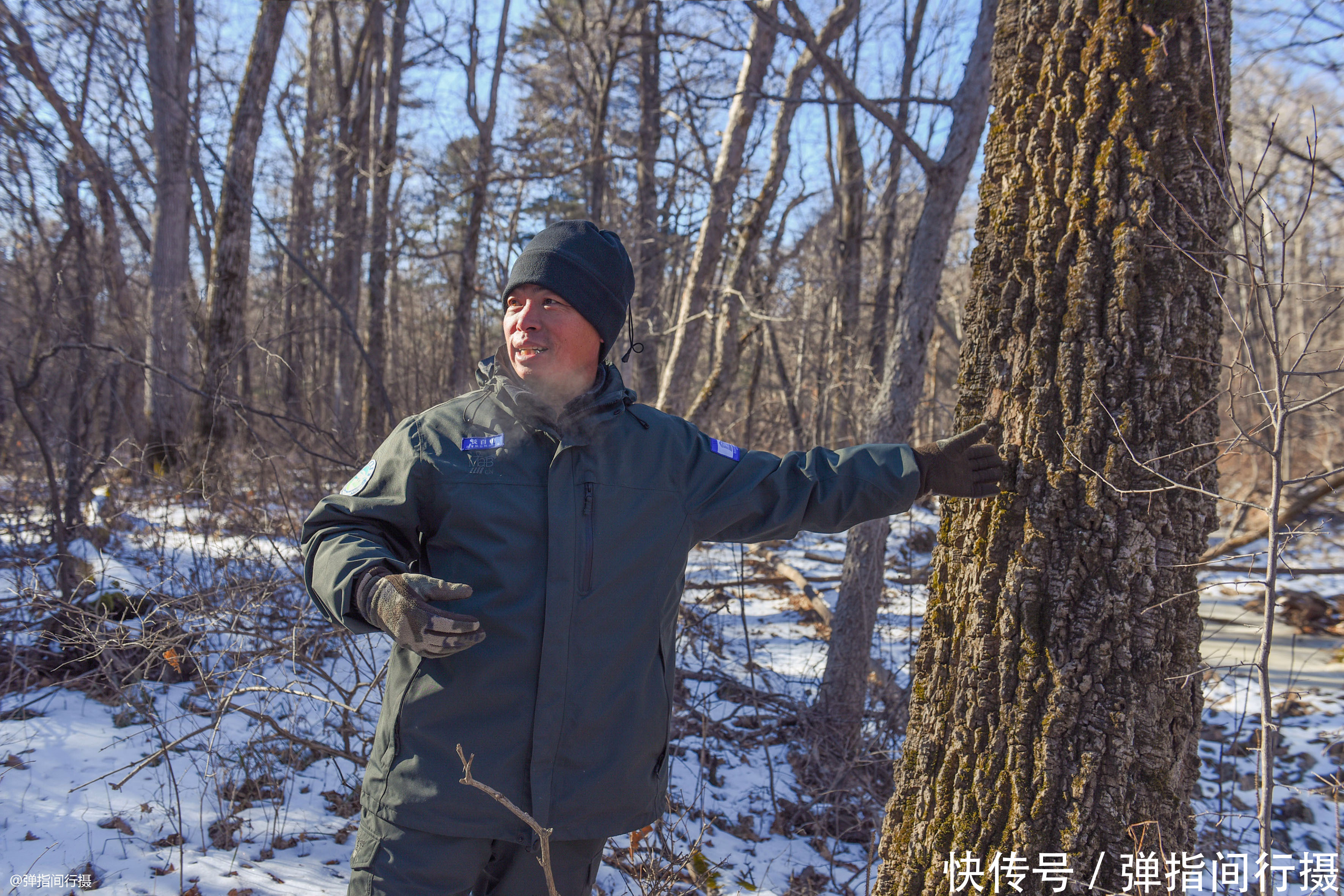 在-35℃的山林巡护，他们的工作为长白山带来什么？看完你会感动