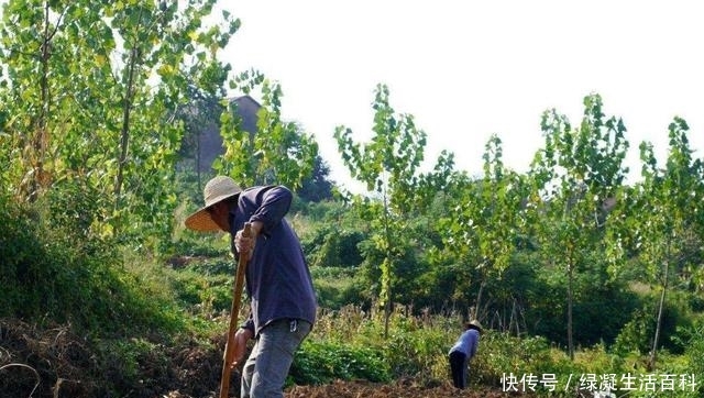 「确权」11月起！农民朋友们注意了！农村这2个值10万的证书抓紧