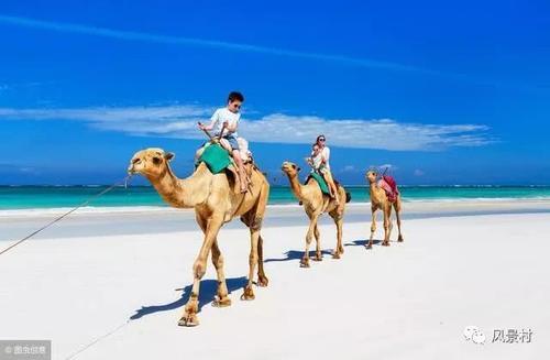 如何避免旅游报团游中的陷阱？资深导游告诉你旅游界内幕！