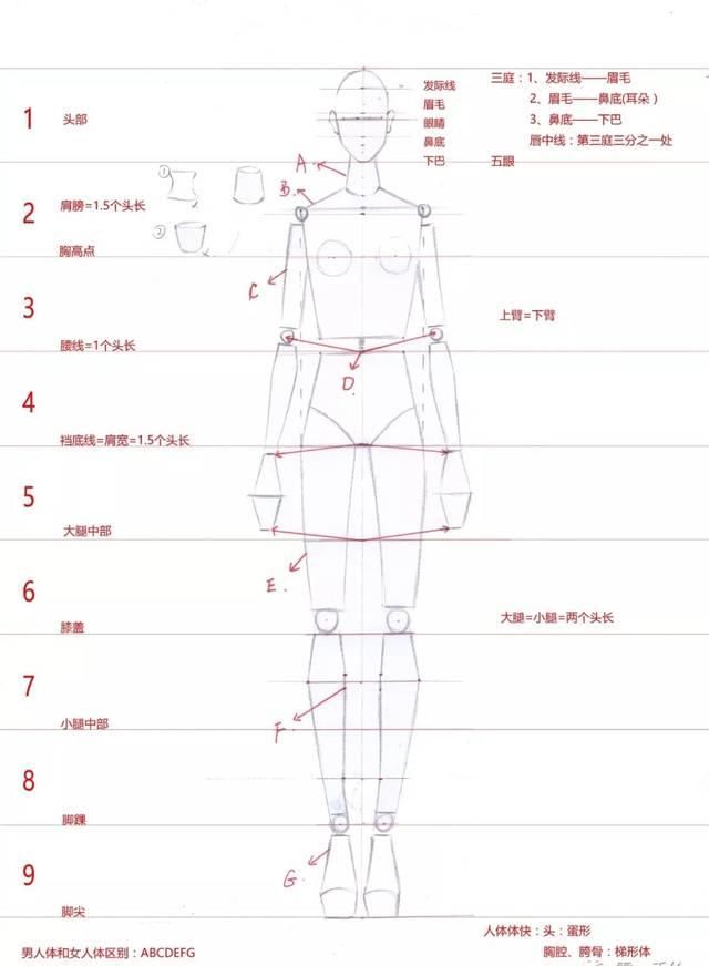  [模特的身]全新-160个服装人体动态【线稿】素材分享！（独家珍藏版）