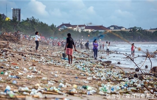 中国游客“如愿”减少，垃圾依然遍地都是，这回谁背锅？