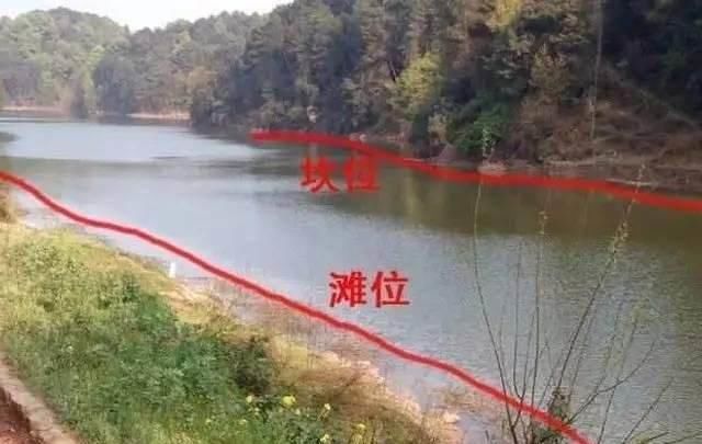 新钓鱼人■钓鱼新人看过来,跟我学钓鱼!带给你全新钓鱼知识