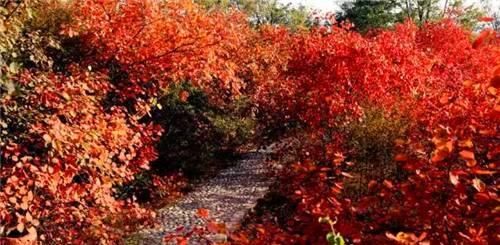 秋日里，山西20处绝美赏秋胜地美的像仙境