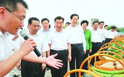 农村没有赚钱的可能？这五种农业项目，最高国家可补贴10亿