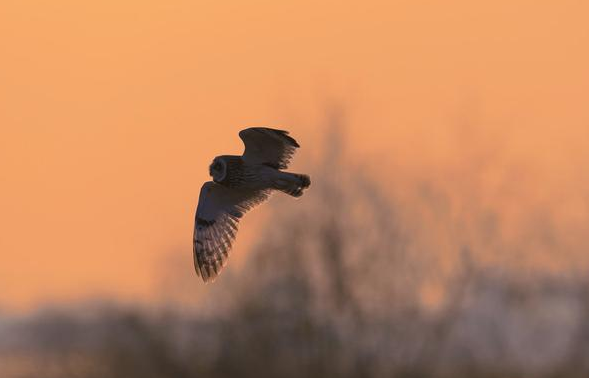  「我国」奇怪了我国这个姓氏没有列入百家姓，但人口却达700万
