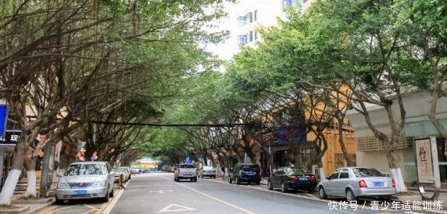 广东最适合养老的3座城市，第一名全国公认，会是你家乡吗