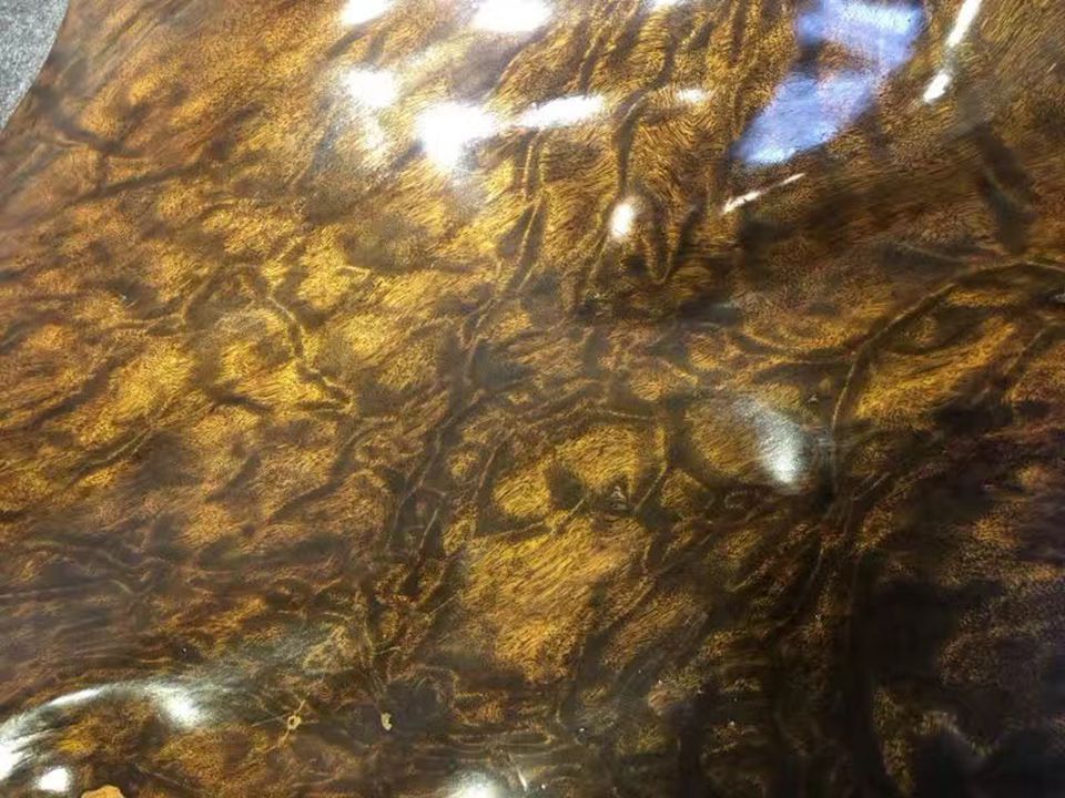  河道■农民河道挖出的乌木曾价值千万, 到底是什么木 为何现在无