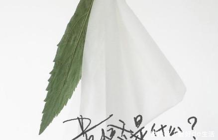 抖音费启鸣手写情话,刘同带我飞!费启鸣你别拖