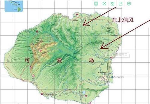 世界上最“潮湿”的地方，全年下雨没法住人，植物却疯狂生长？